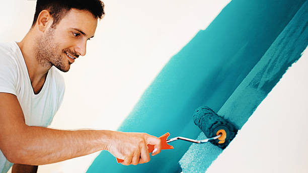 Touch-Up Painting in Bellview, FL